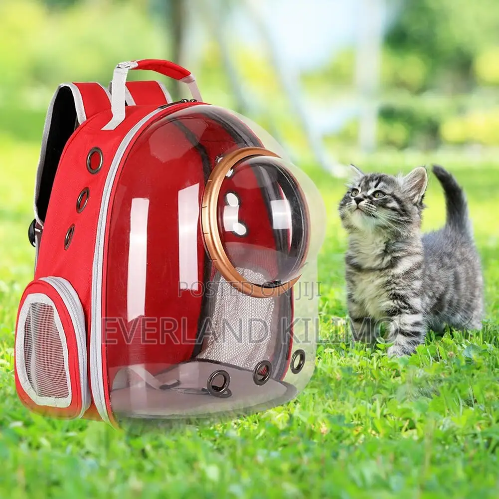 Pet Bubble Backpack