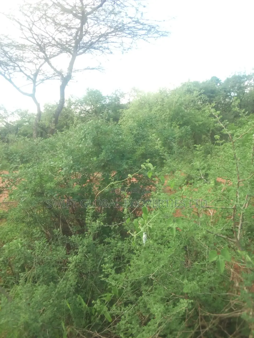 500 Acres Available for Sale in Kibwezi Kanyungu Makueni
