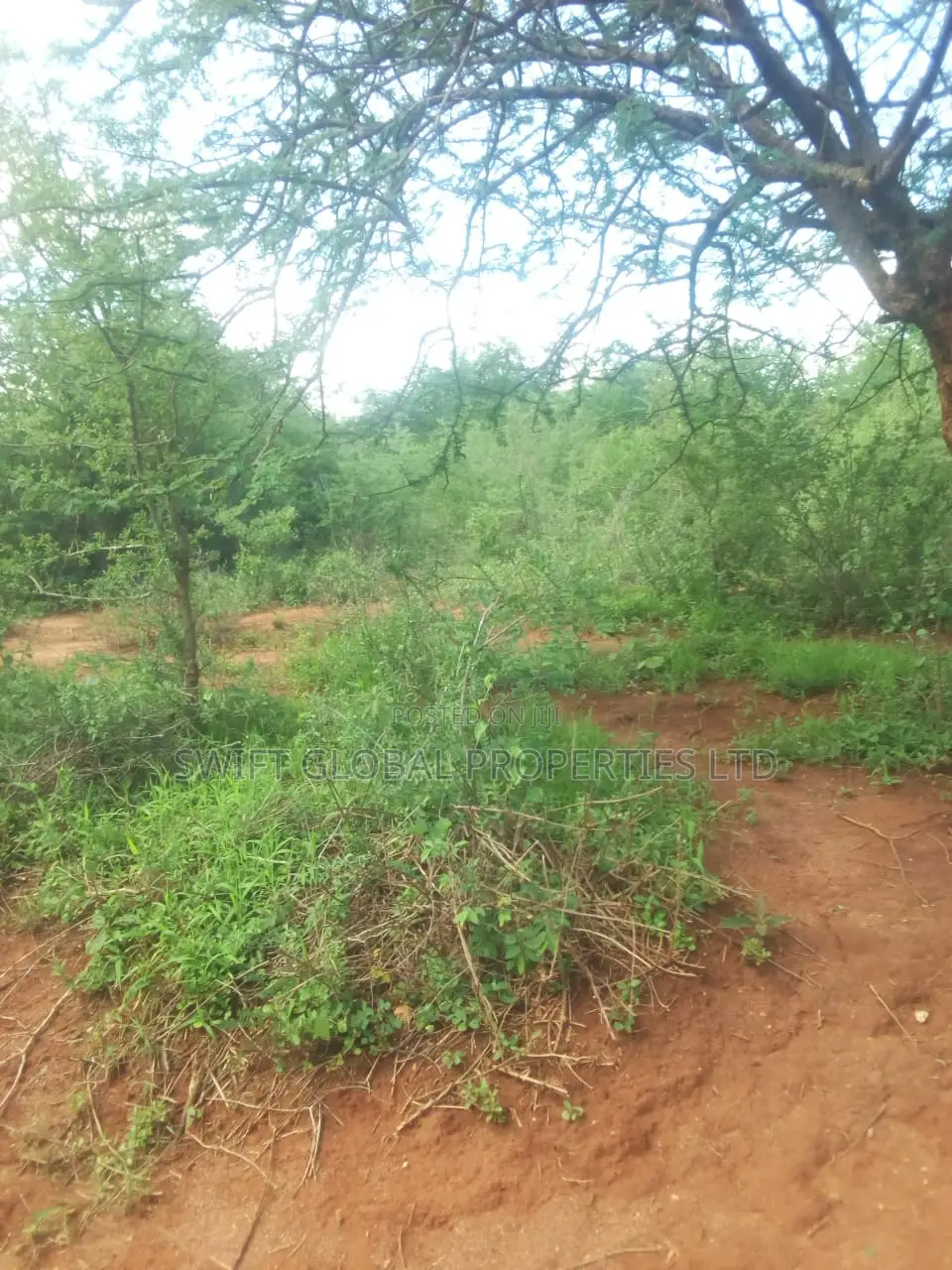 500 Acres Available for Sale in Kibwezi Kanyungu Makueni
