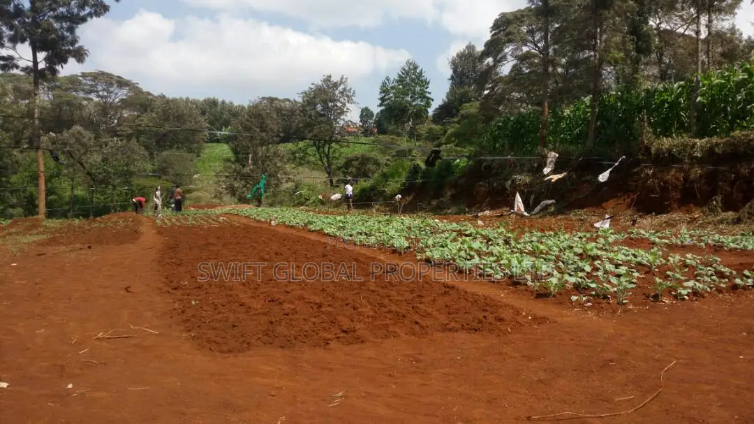 Prime 0.5 Acres for Sale Is in Karura Kanyungu- Kiambu