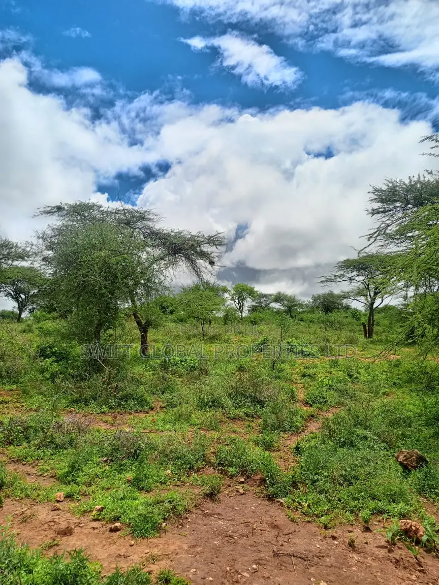 1200 Acres of Virgin Land in Kambu Makueni Is for Sale