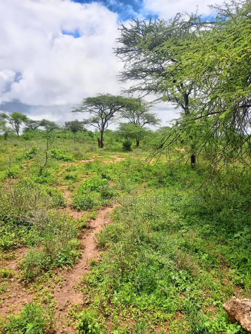 1200 Acres of Virgin Land in Kambu Makueni Is for Sale