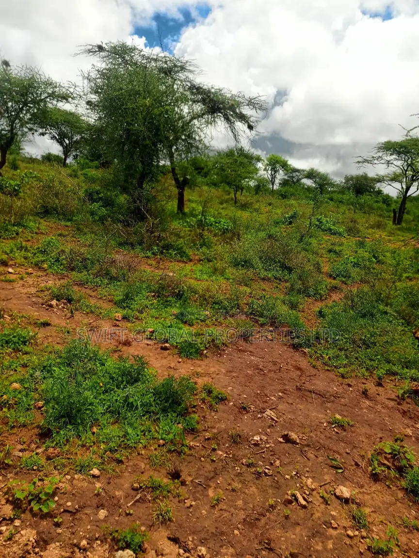 1200 Acres of Virgin Land in Kambu Makueni Is for Sale