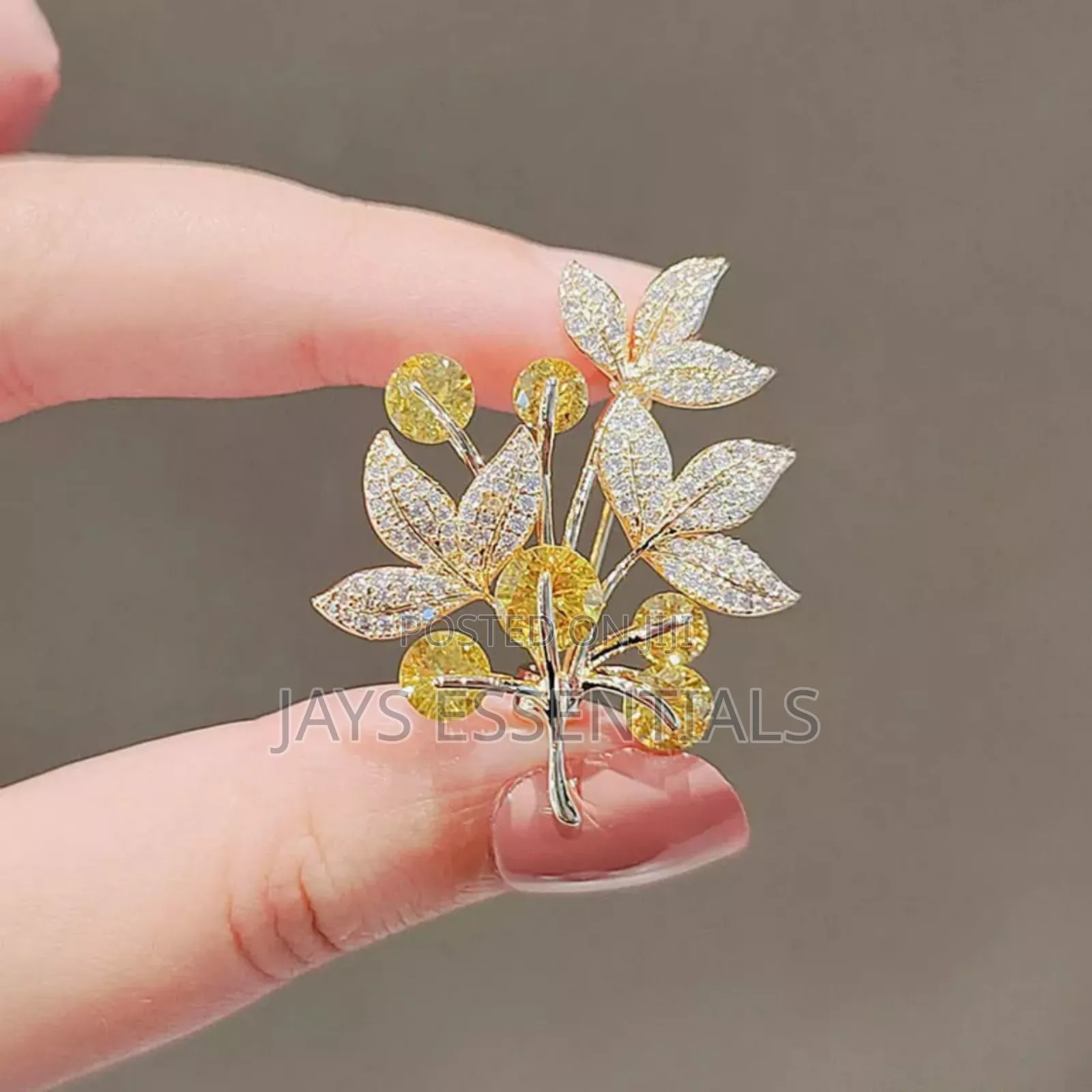 Variety of Unique Brooches