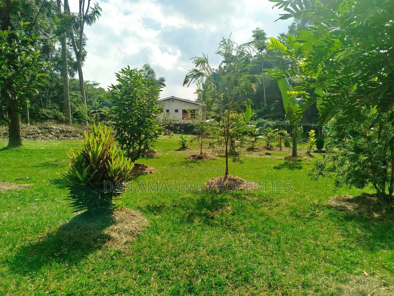 1 Acre With 2bdr Bungalow Plus DSQ Karen Windridge for Sale