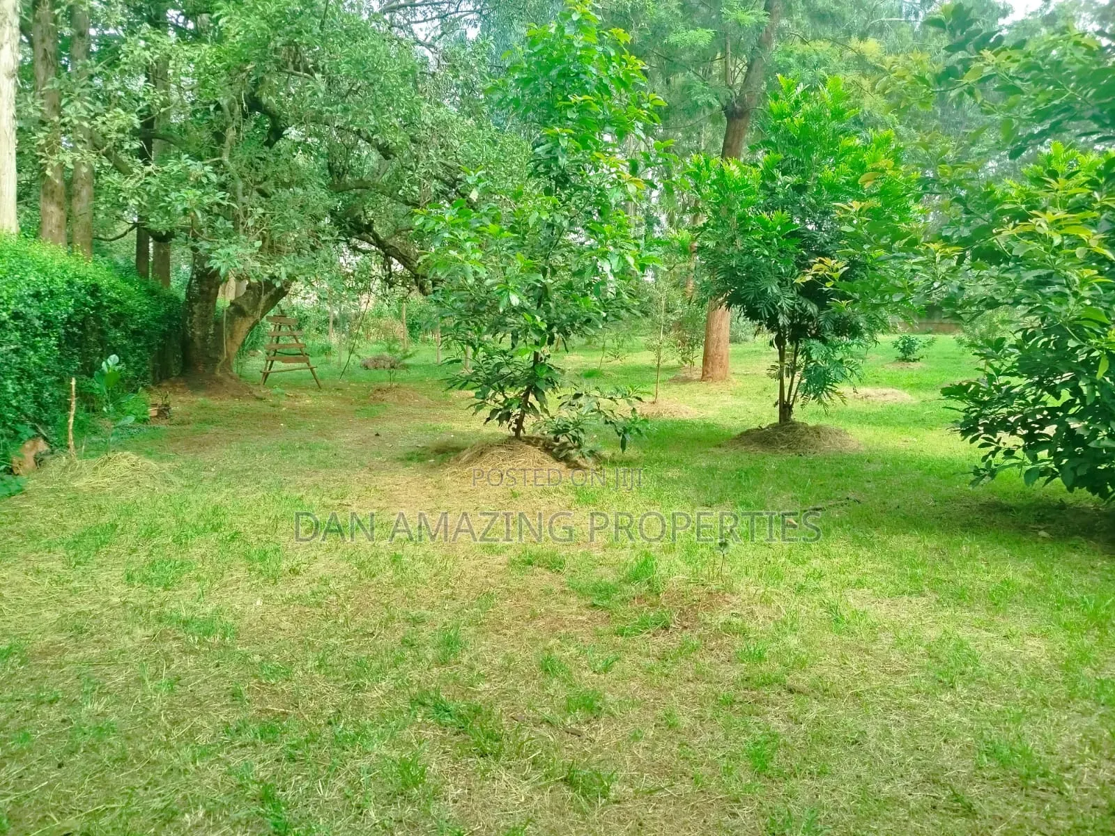 1 Acre With 2bdr Bungalow Plus DSQ Karen Windridge for Sale