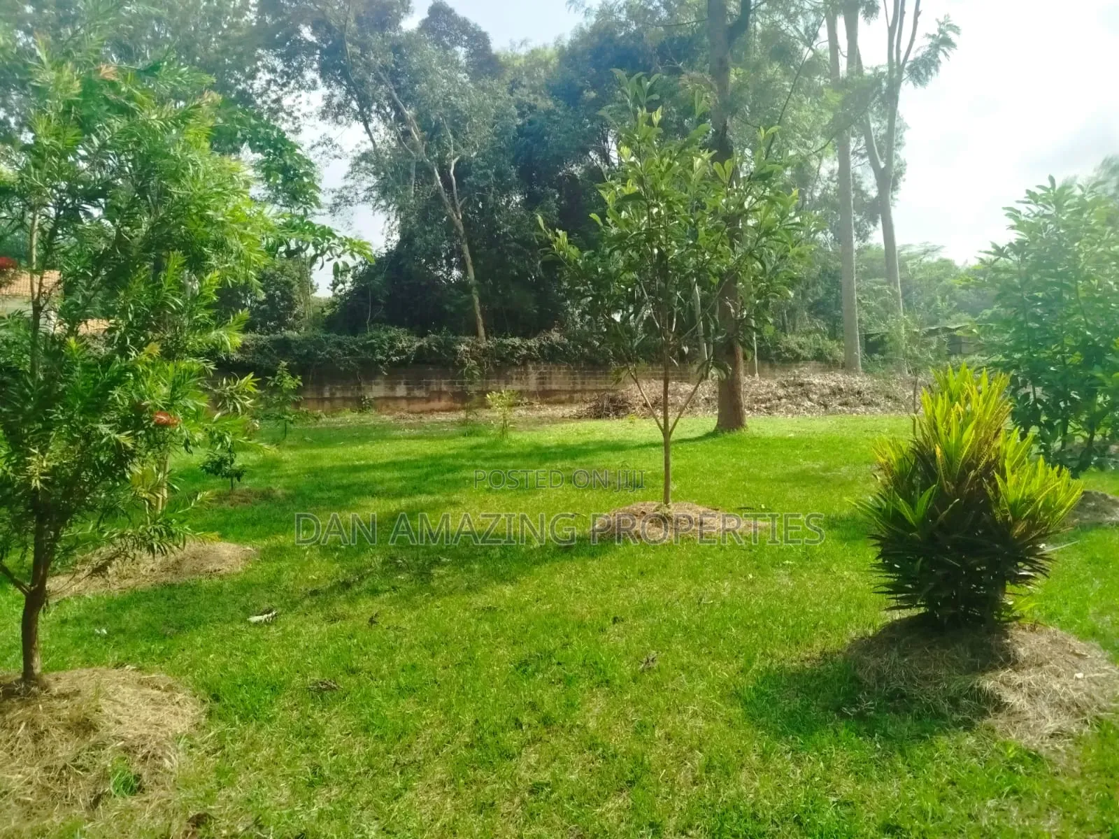 1 Acre With 2bdr Bungalow Plus DSQ Karen Windridge for Sale