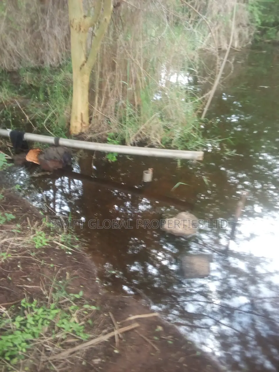 1000 Acres With Spring Water in Kiboko Makindu Is for Lease