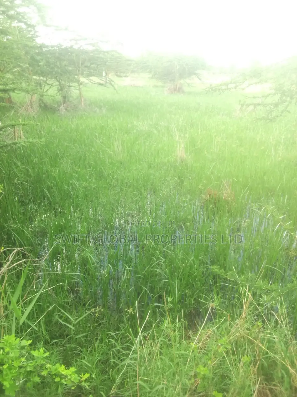 1000 Acres With Spring Water in Kiboko Makindu Is for Lease