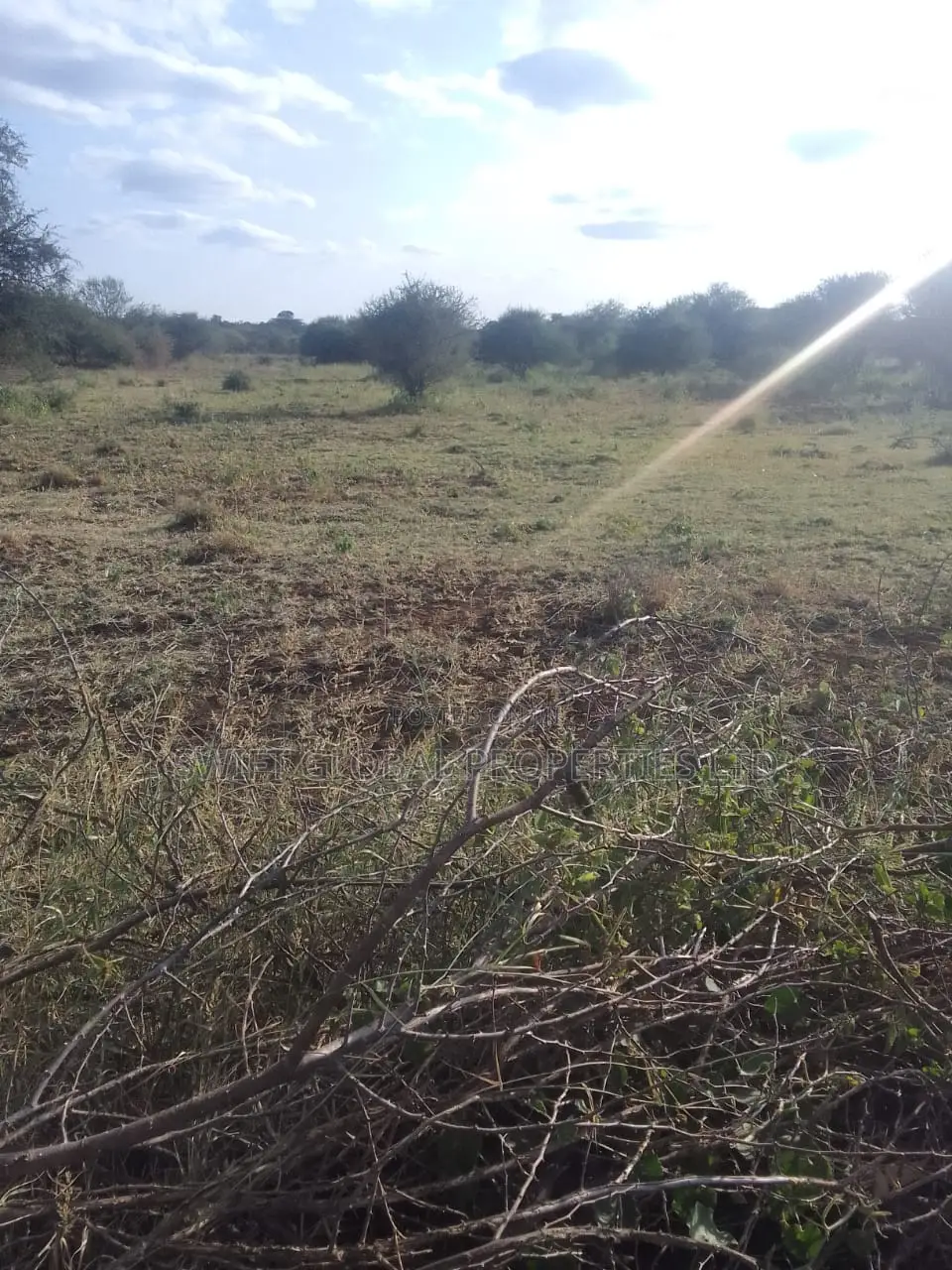 3,000 Acres of Land Is Available for Sale in Voi Town
