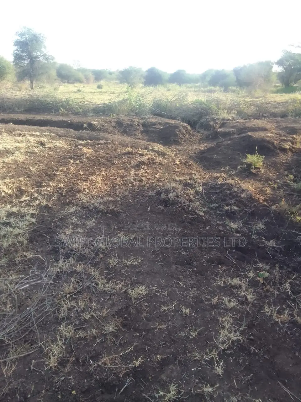 3,000 Acres of Land Is Available for Sale in Voi Town