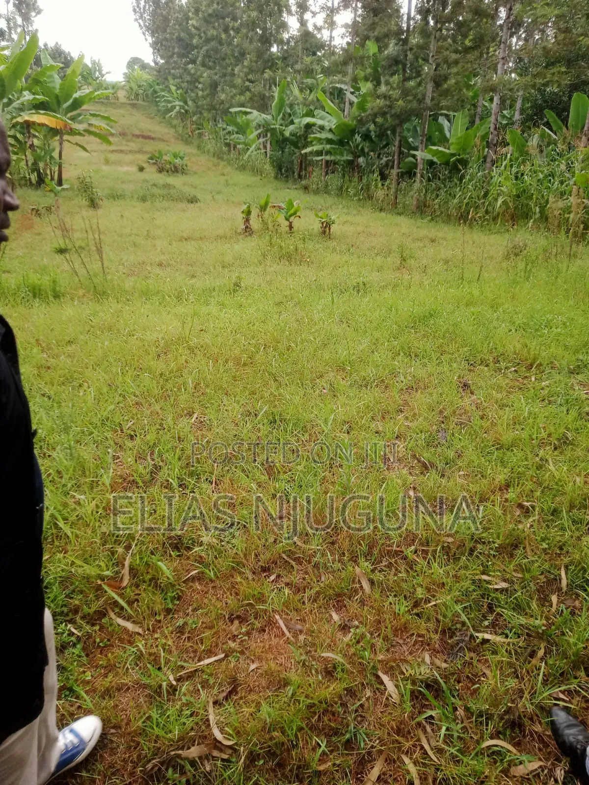 Nyandarua Rironi 5.5acre Each at KSH Negotiable.