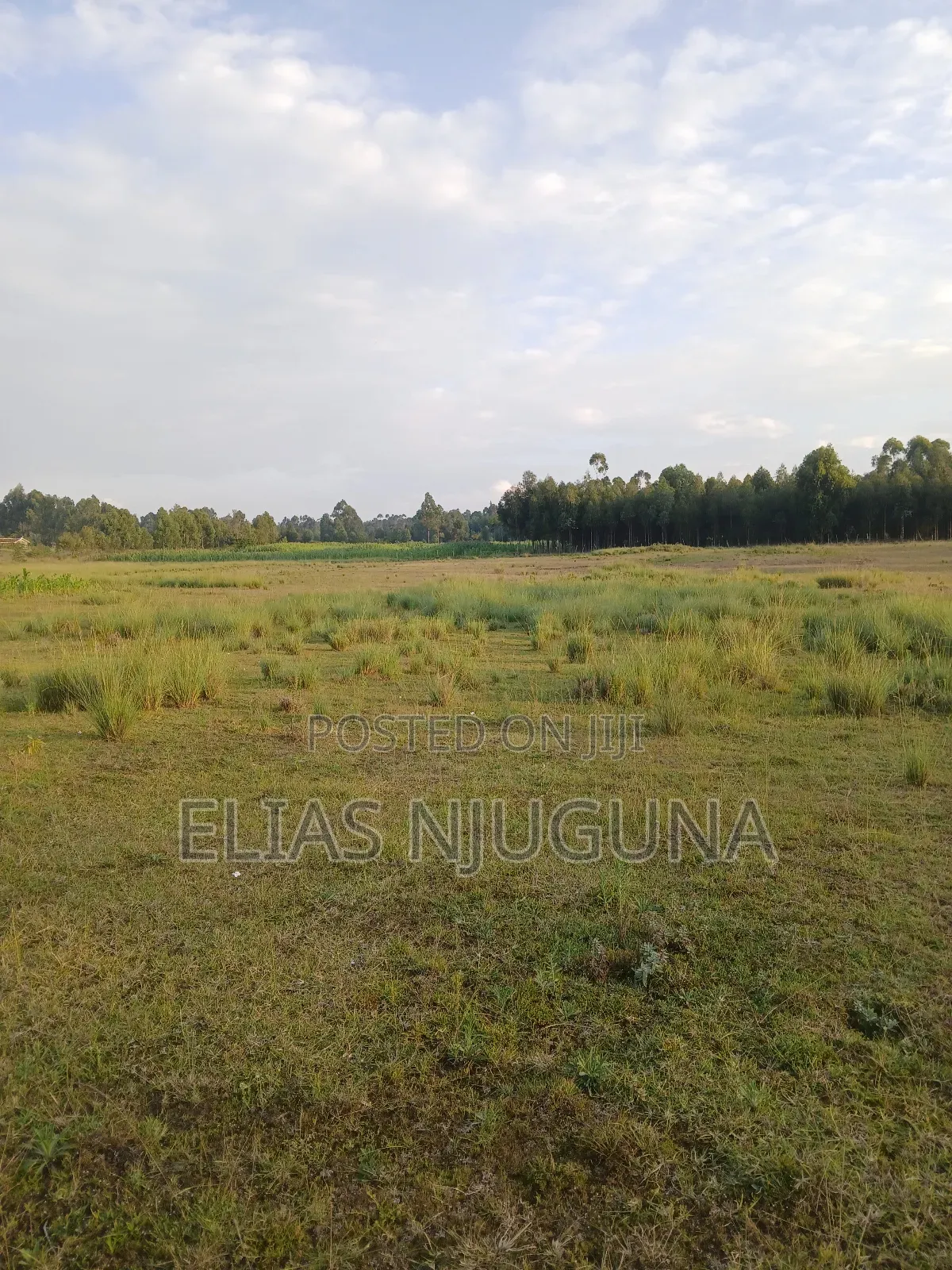 Nyandarua Rironi 5.5acre Each at KSH Negotiable.