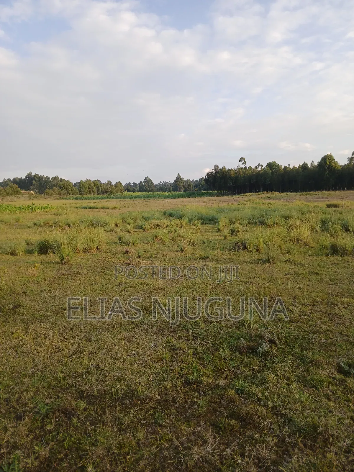Nyandarua Rironi 5.5acre Each at KSH Negotiable.