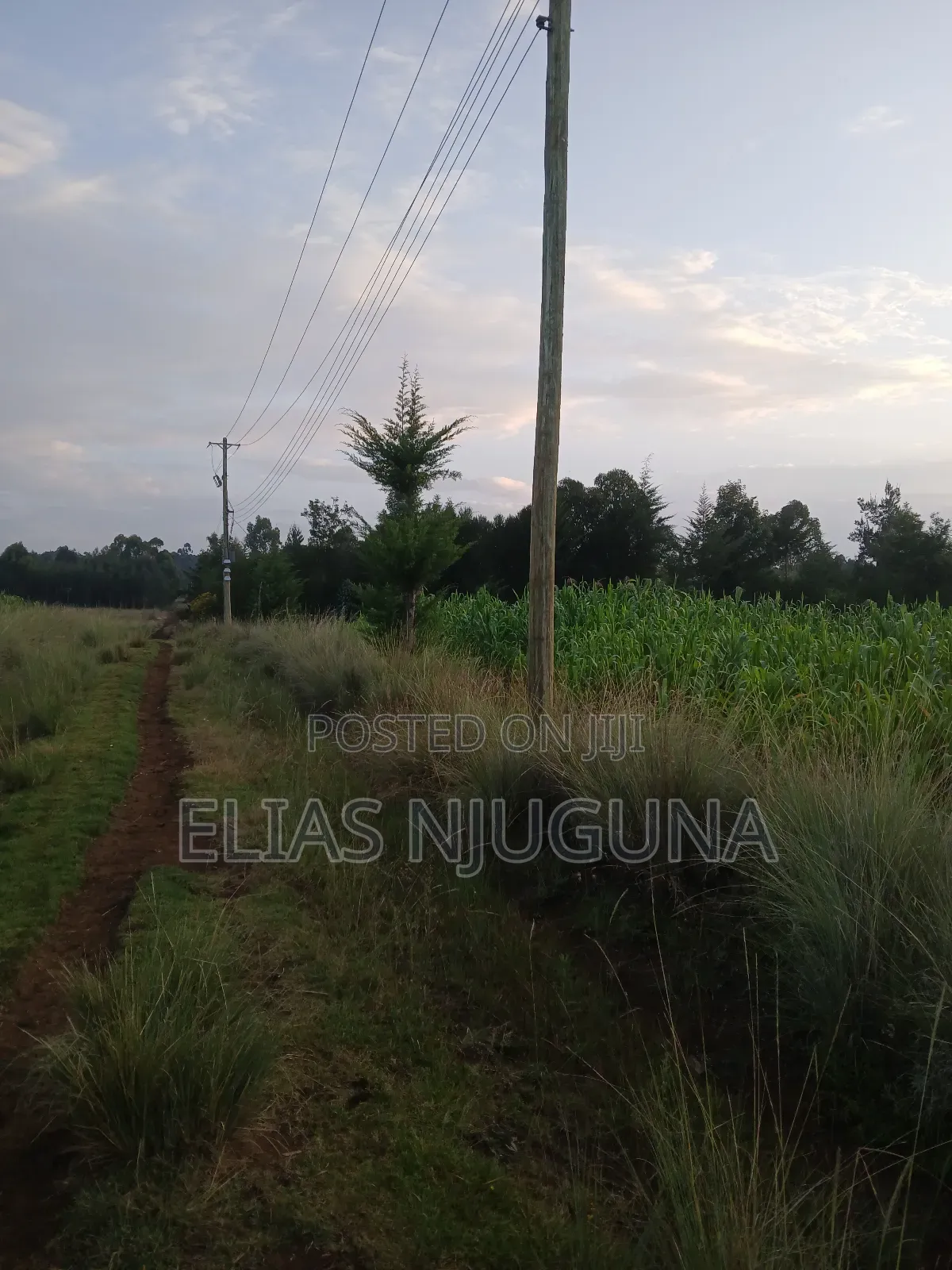 Nyahururu Maili Nne - Nyeri Rd 3acres With Free Hold Title.