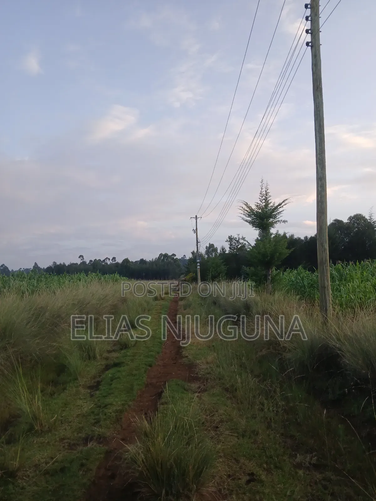 Nyahururu Maili Nne - Nyeri Rd 3acres With Free Hold Title.