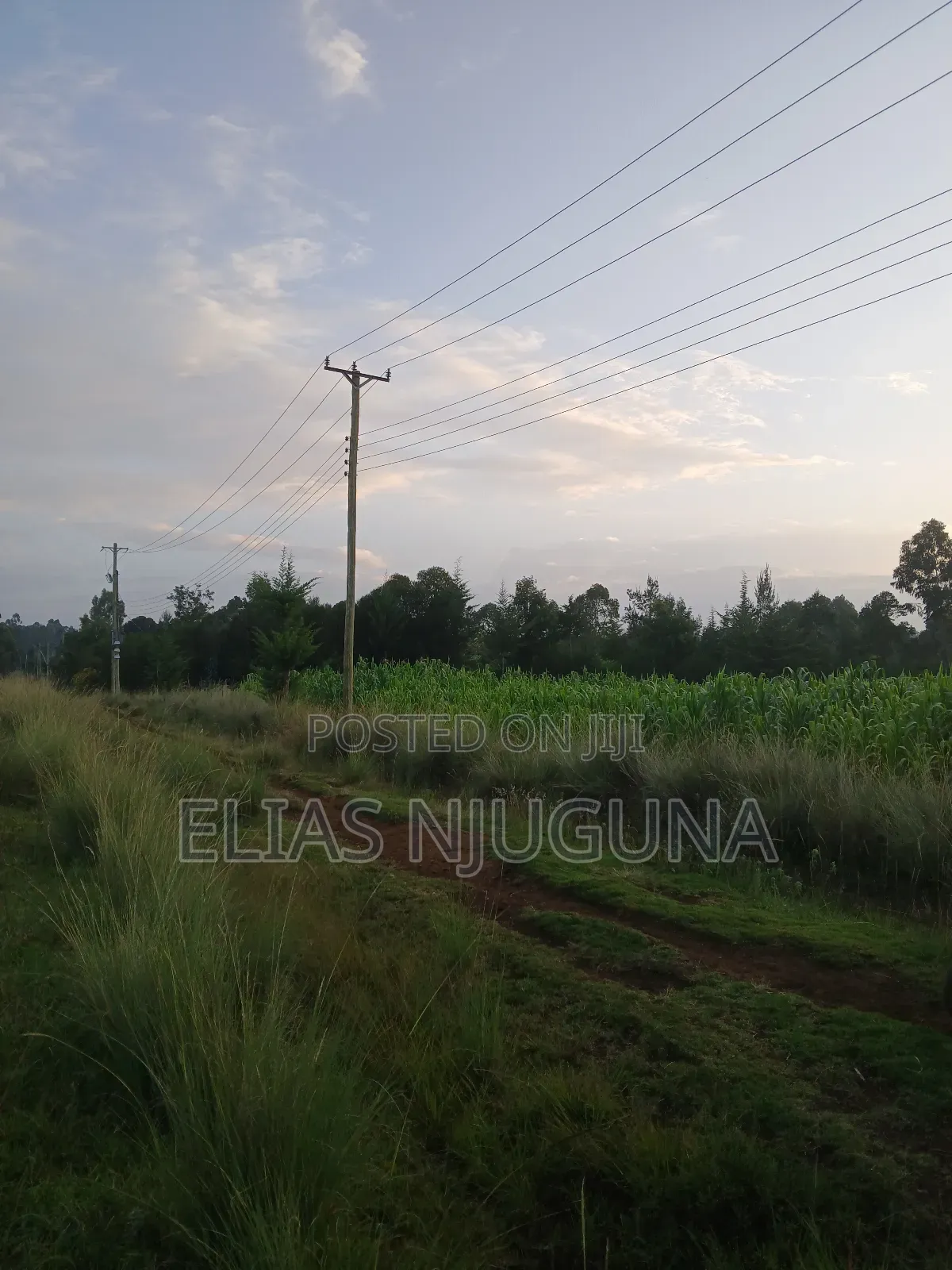 Nyahururu Maili Nne - Nyeri Rd 3acres With Free Hold Title.