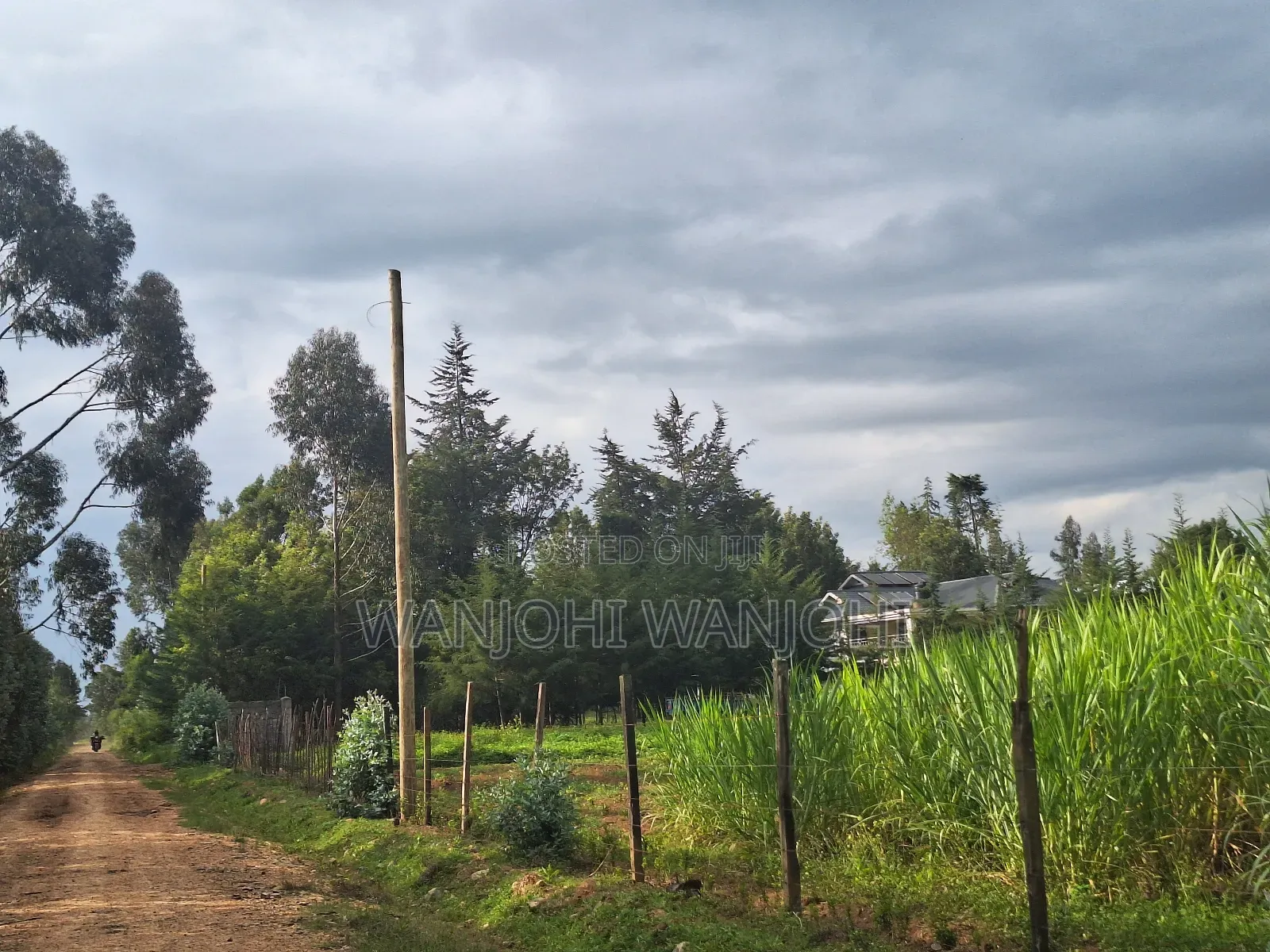 1/2 Acre Plots in Nyahururu