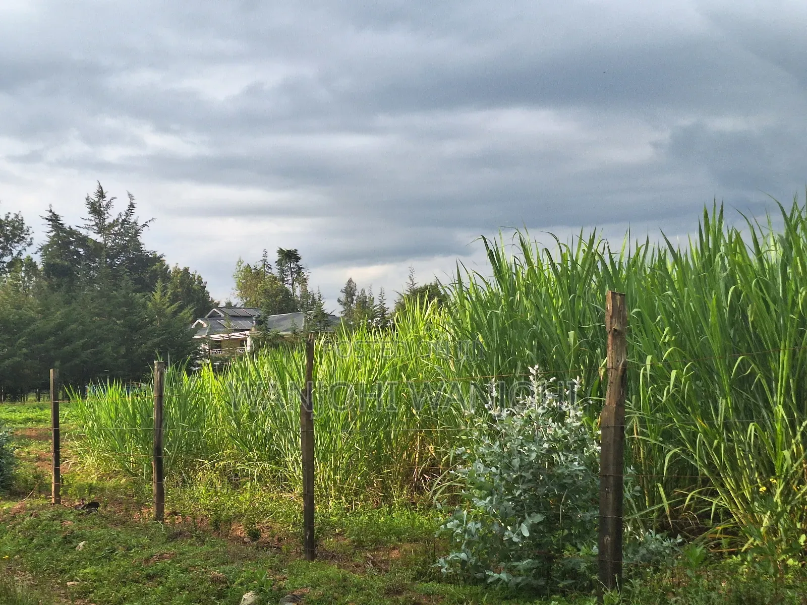 1/4 Acre Plots in Nyahururu