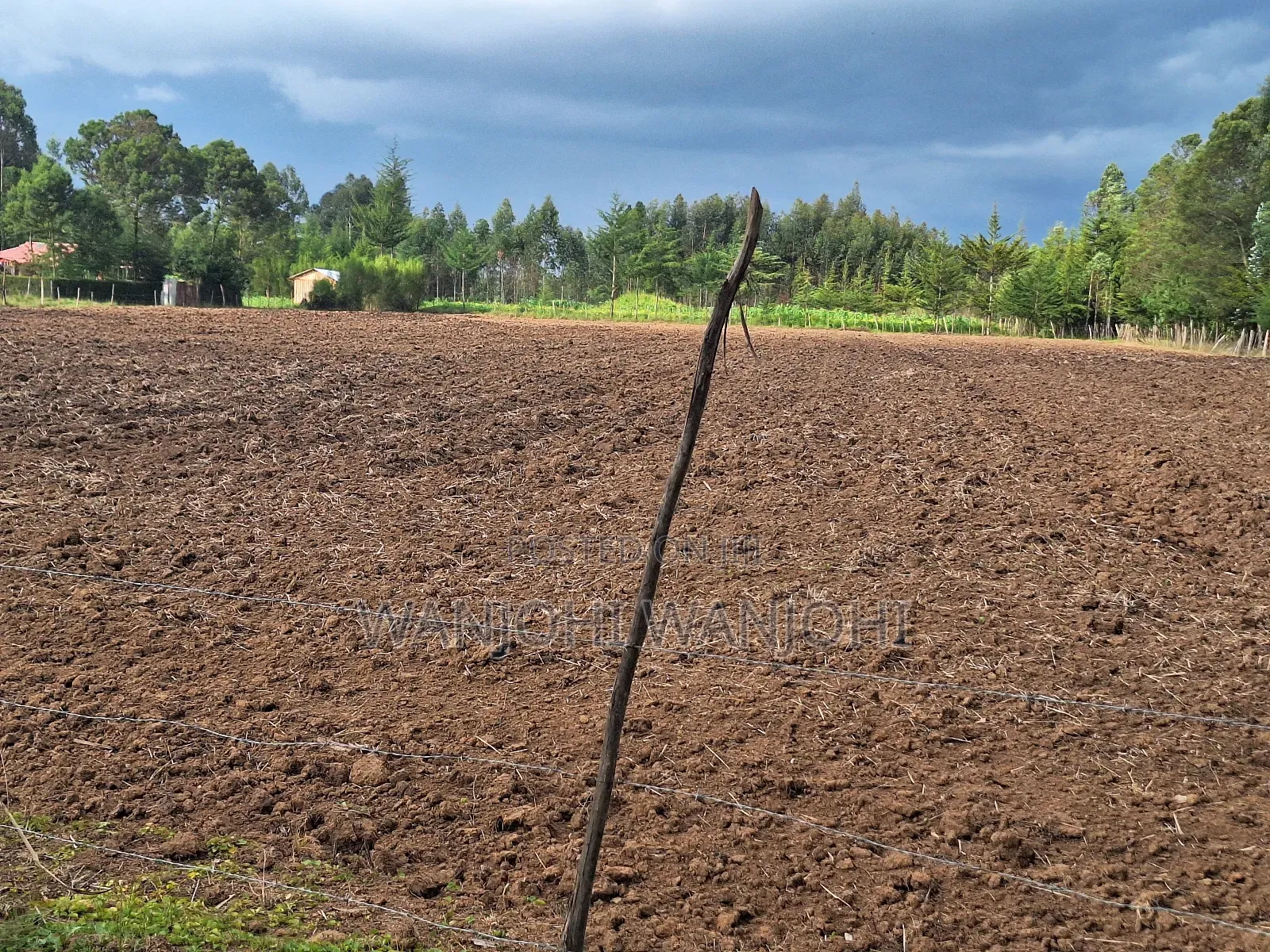Quarter Acre Plots Nyahururu Township