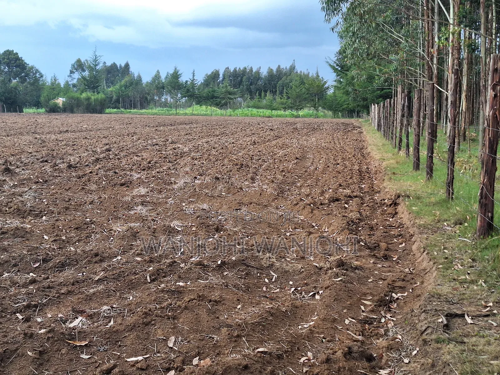 Quarter Acre Plots Nyahururu Township