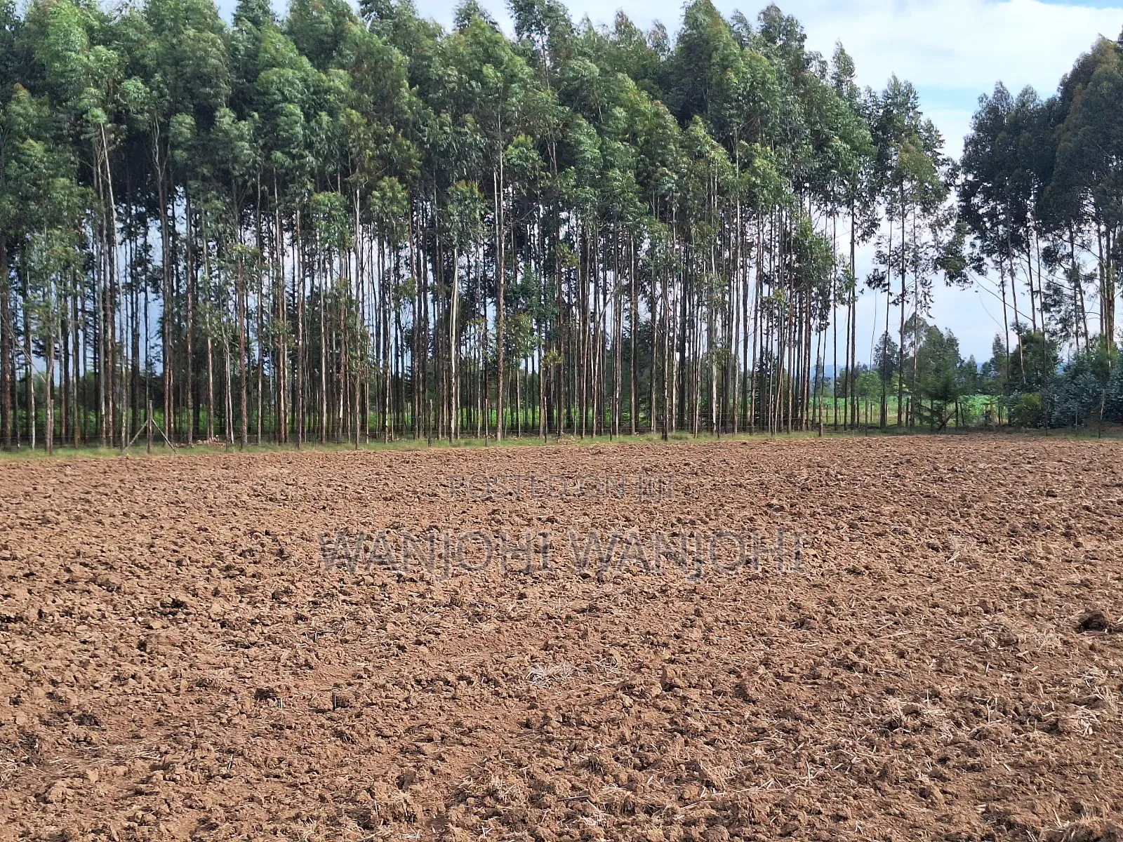 Quarter Acre Plots Nyahururu Township