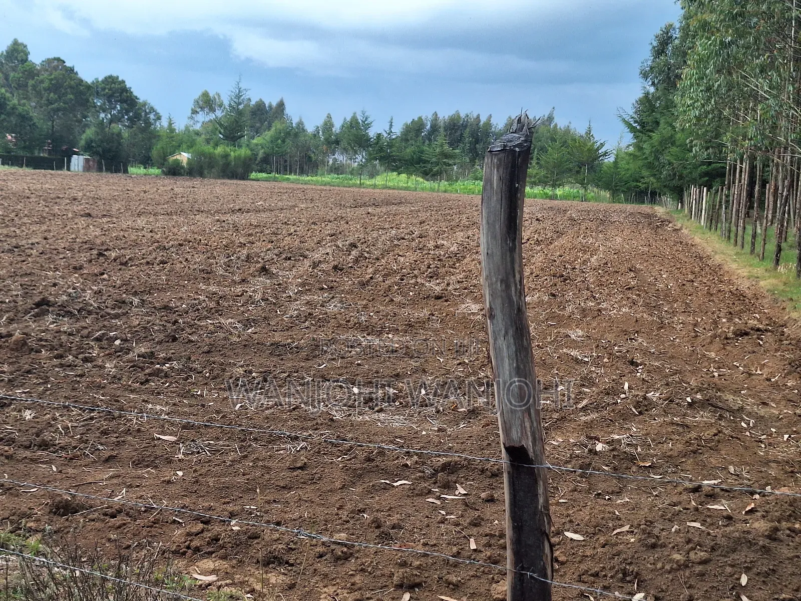 Quarter Acre Plots Nyahururu Township