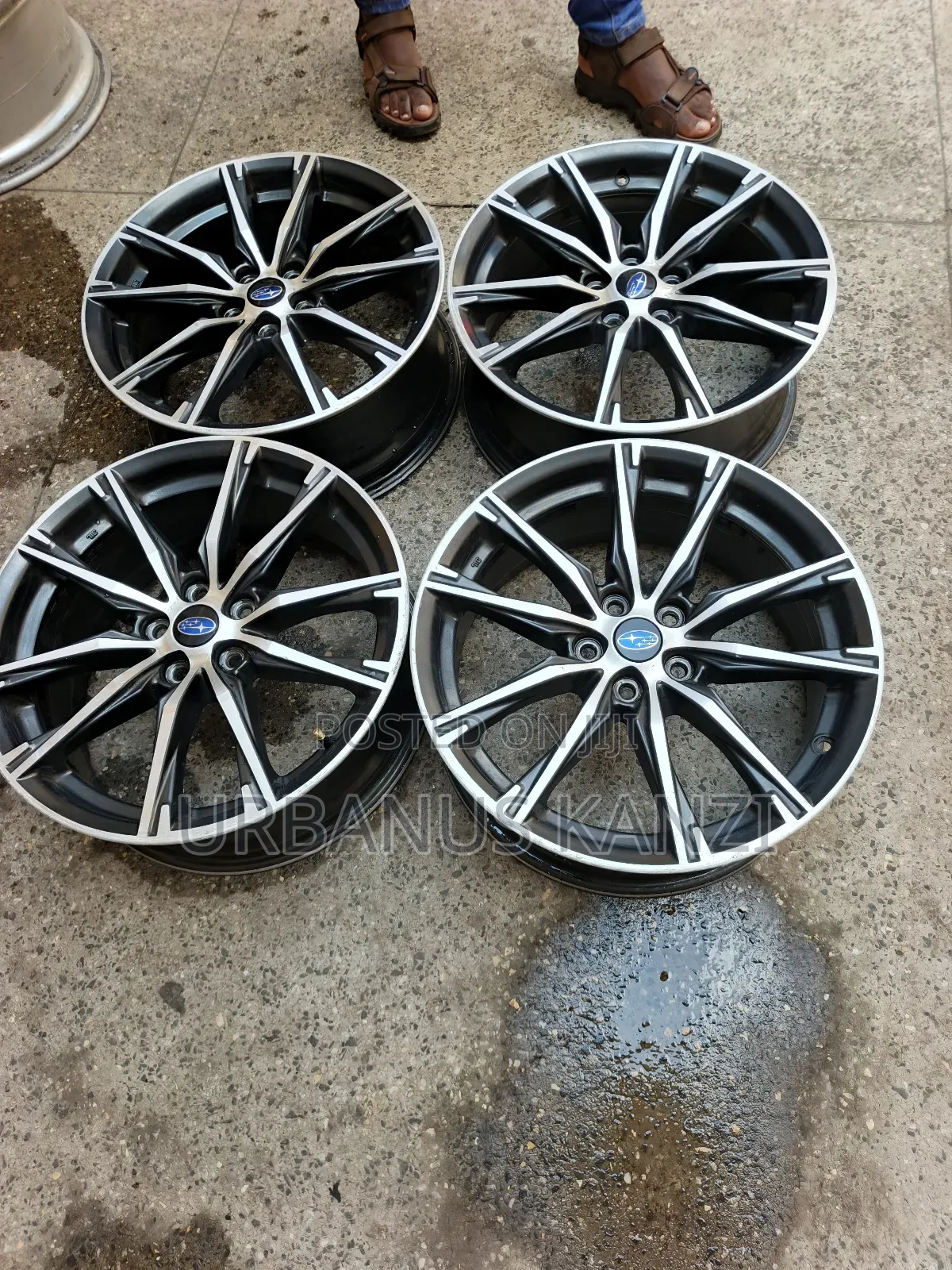 Subaru Sport Rims 17 Inch