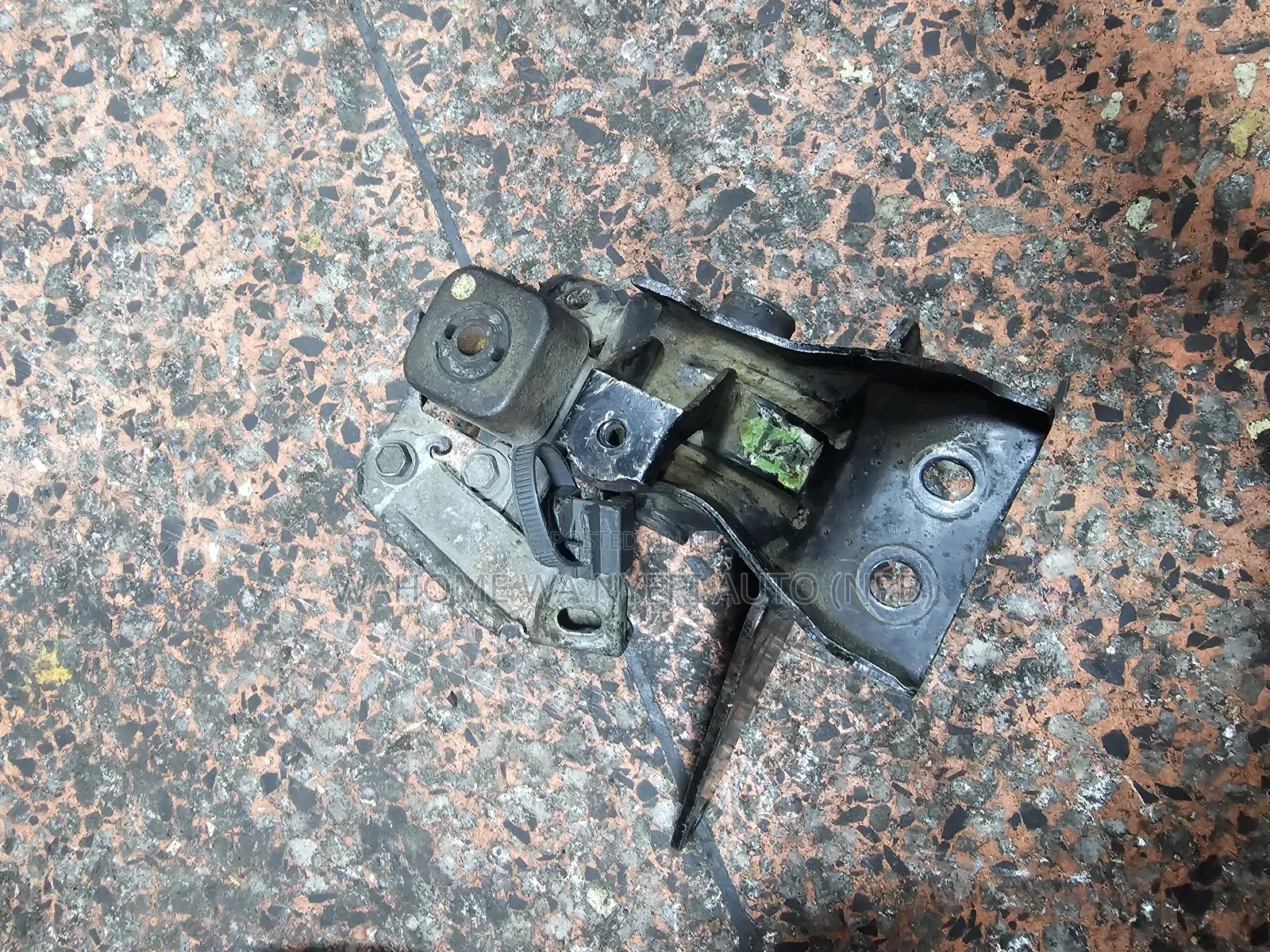 Gear Mount Axio,Wish