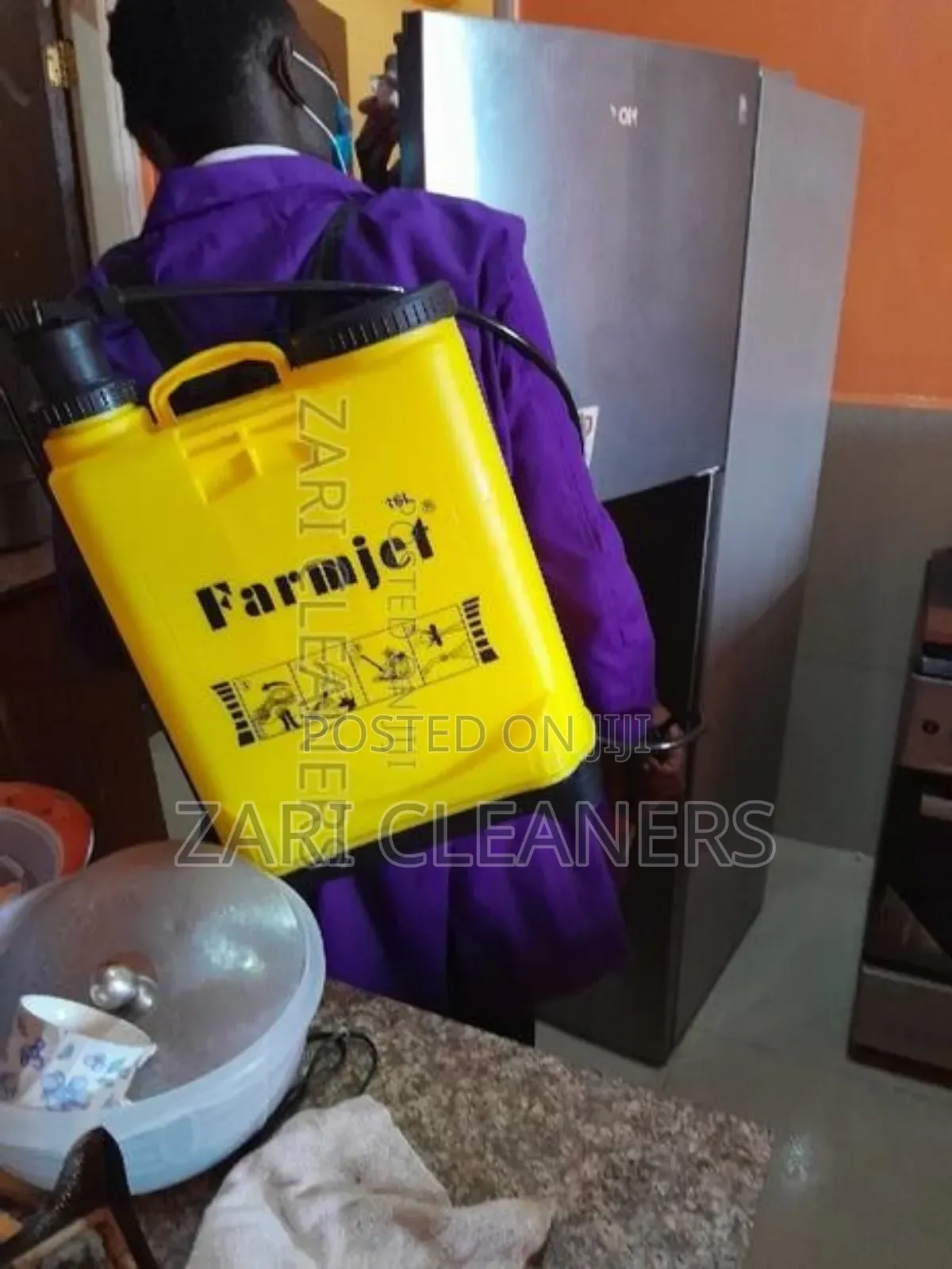Home Bedbugs and Cockroaches Extermination Service Nairobi