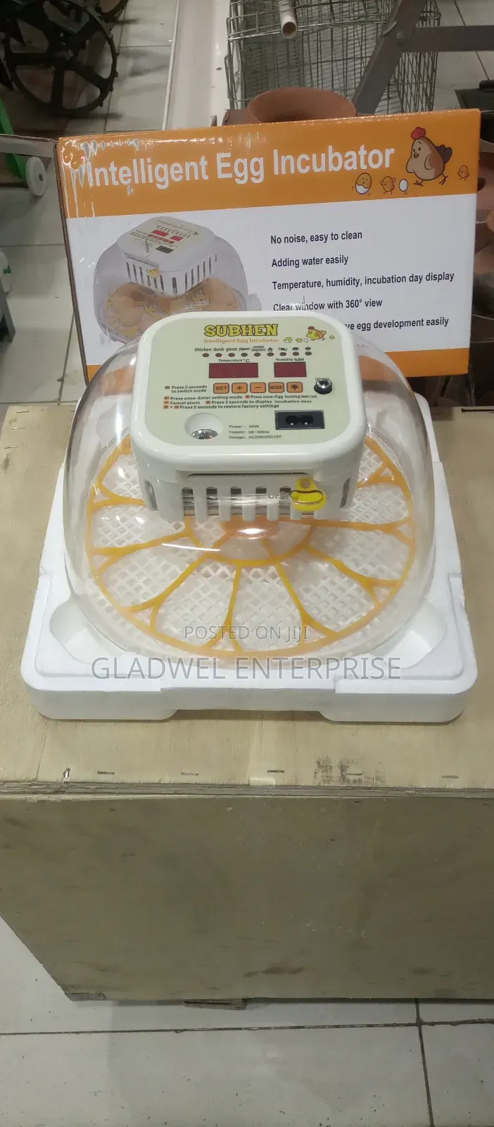 Egg Incubator 12eggs Capacity for Hatching