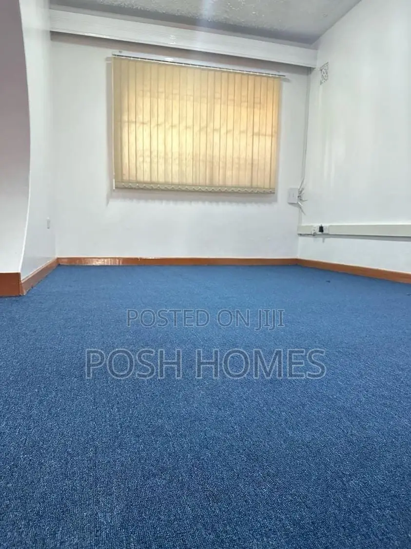 Navy Blue Delta Loop Pile Wall to Wall Carpet