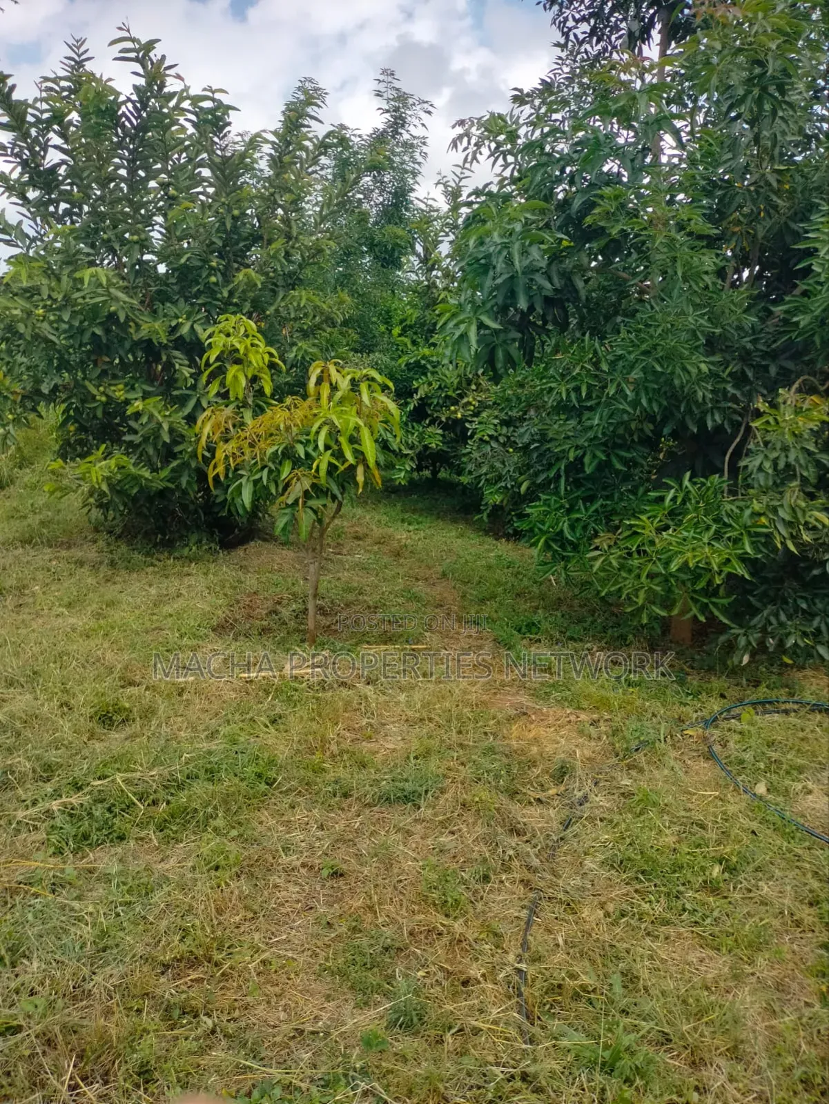 Prime Land 10 Acres -Konza City-Fronting Msa -Nrbi Highway