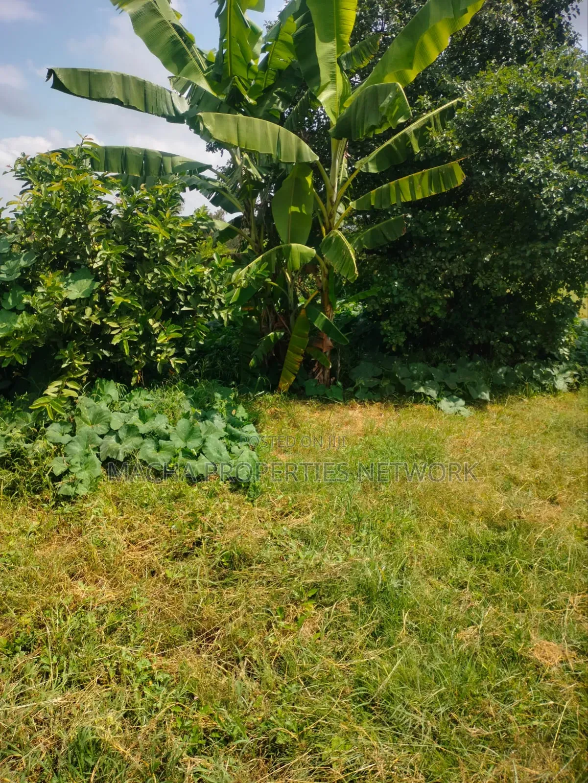 Prime Land 10 Acres -Konza City-Fronting Msa -Nrbi Highway