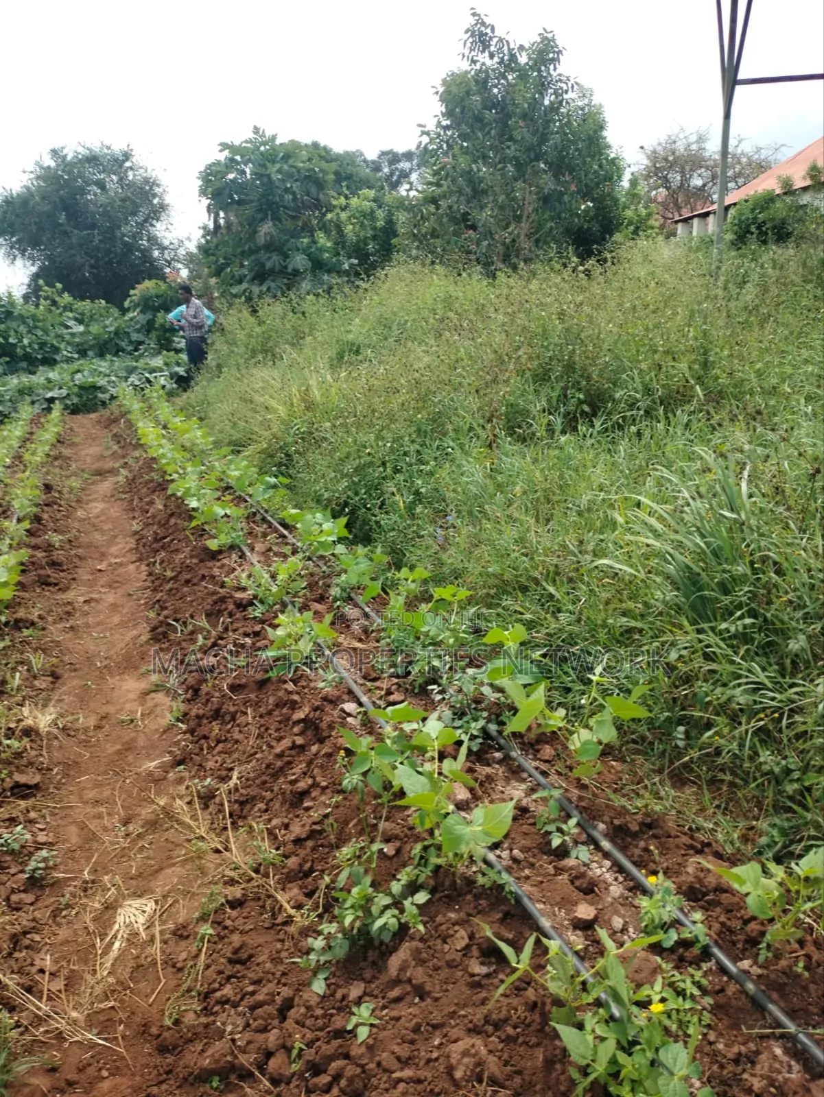 Prime Land 10 Acres -Konza City-Fronting Msa -Nrbi Highway