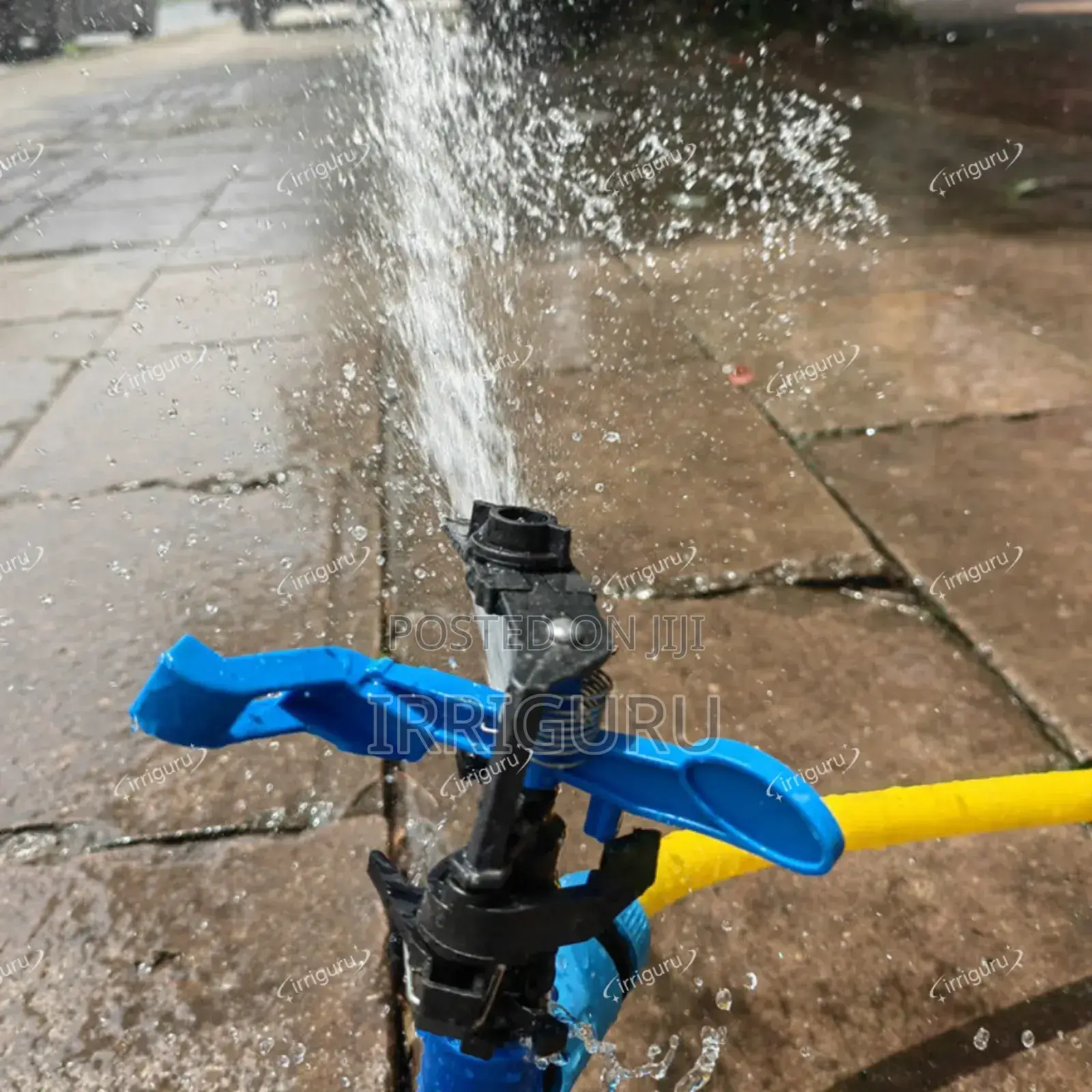 Sprinkler Head
