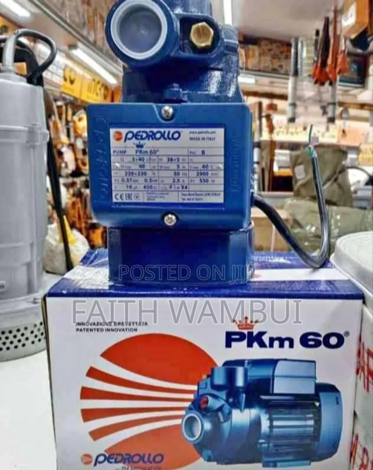 0.5hp Pedrollo Water Pump/ Pedrollo Water Pump 0.5hp Pkm60