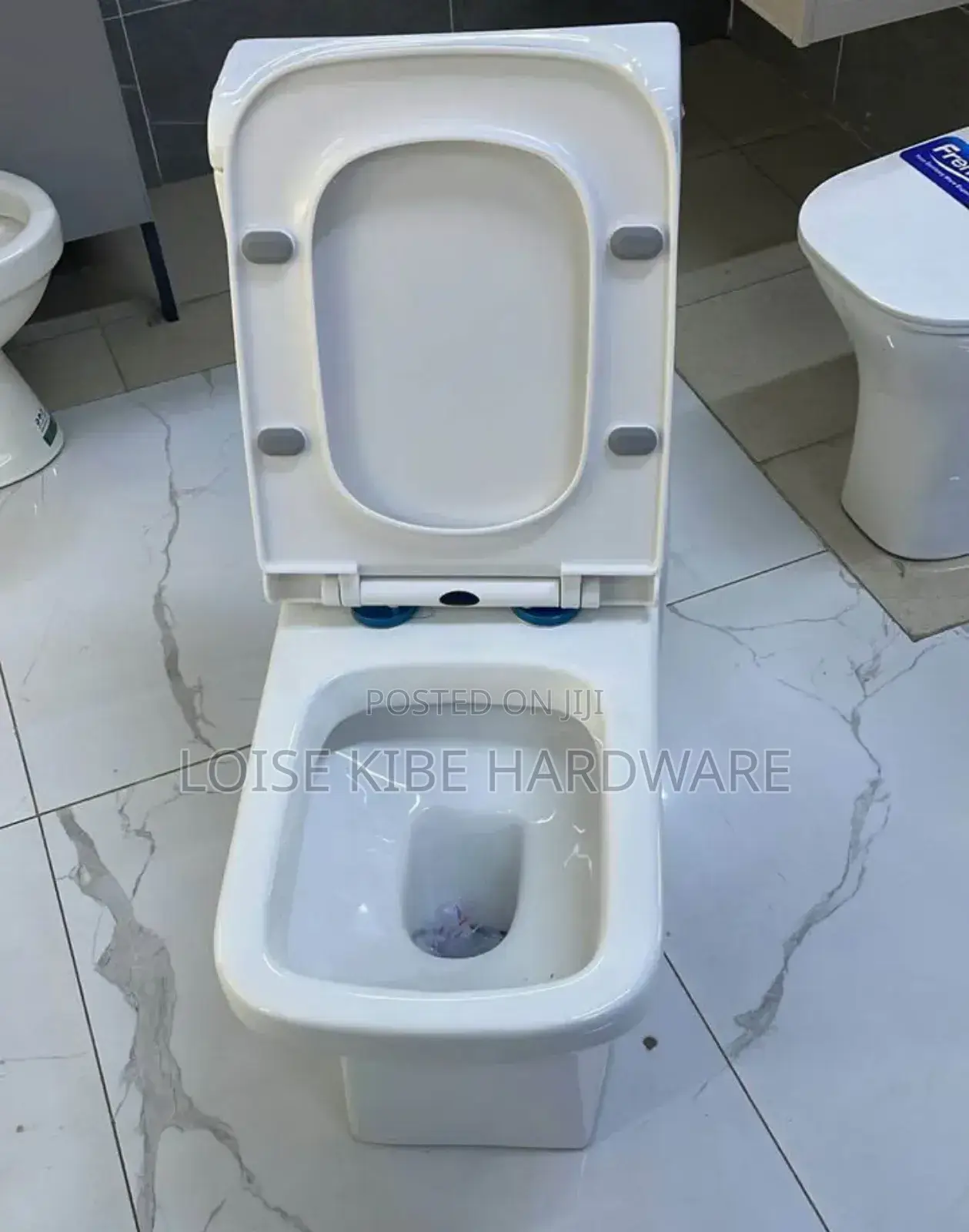 New Shape Toilet Available (New Model)
