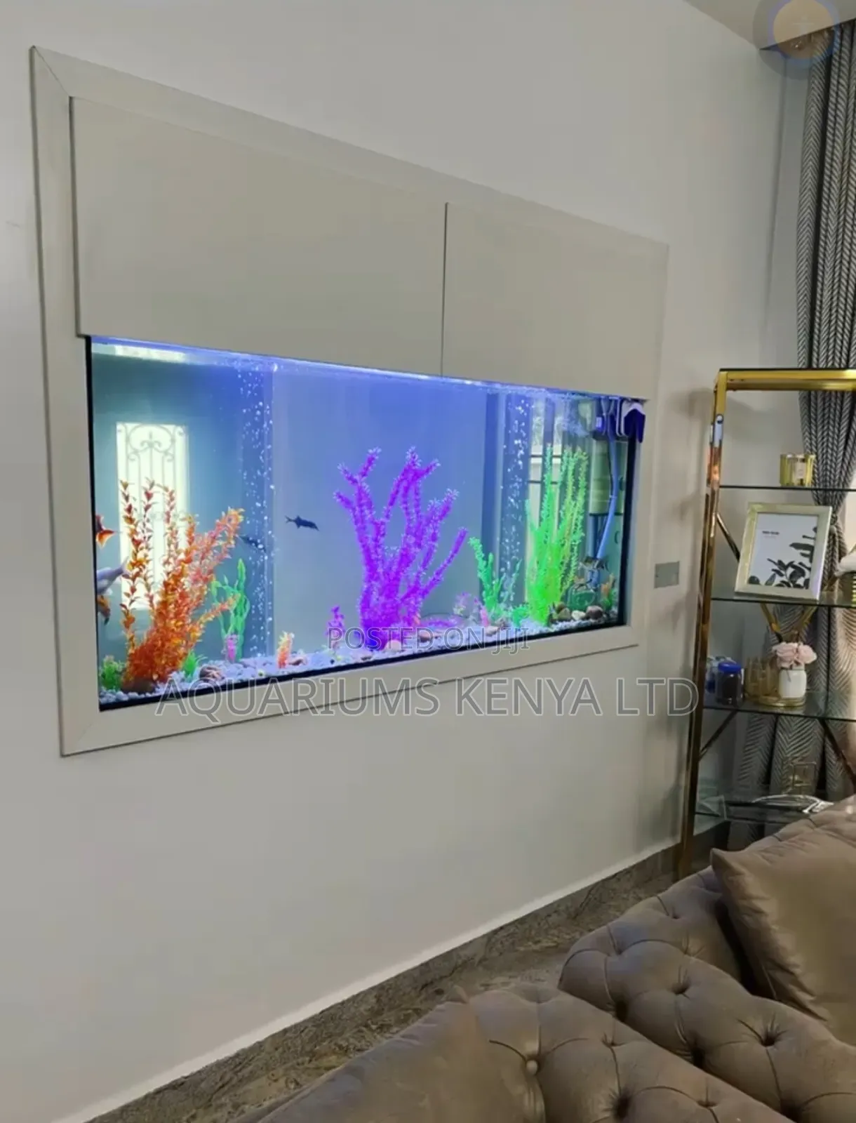 Double-View Aquarium Custom-Built Expert