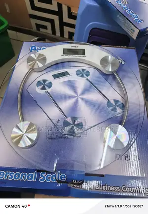 Personal Body Weight Scale
