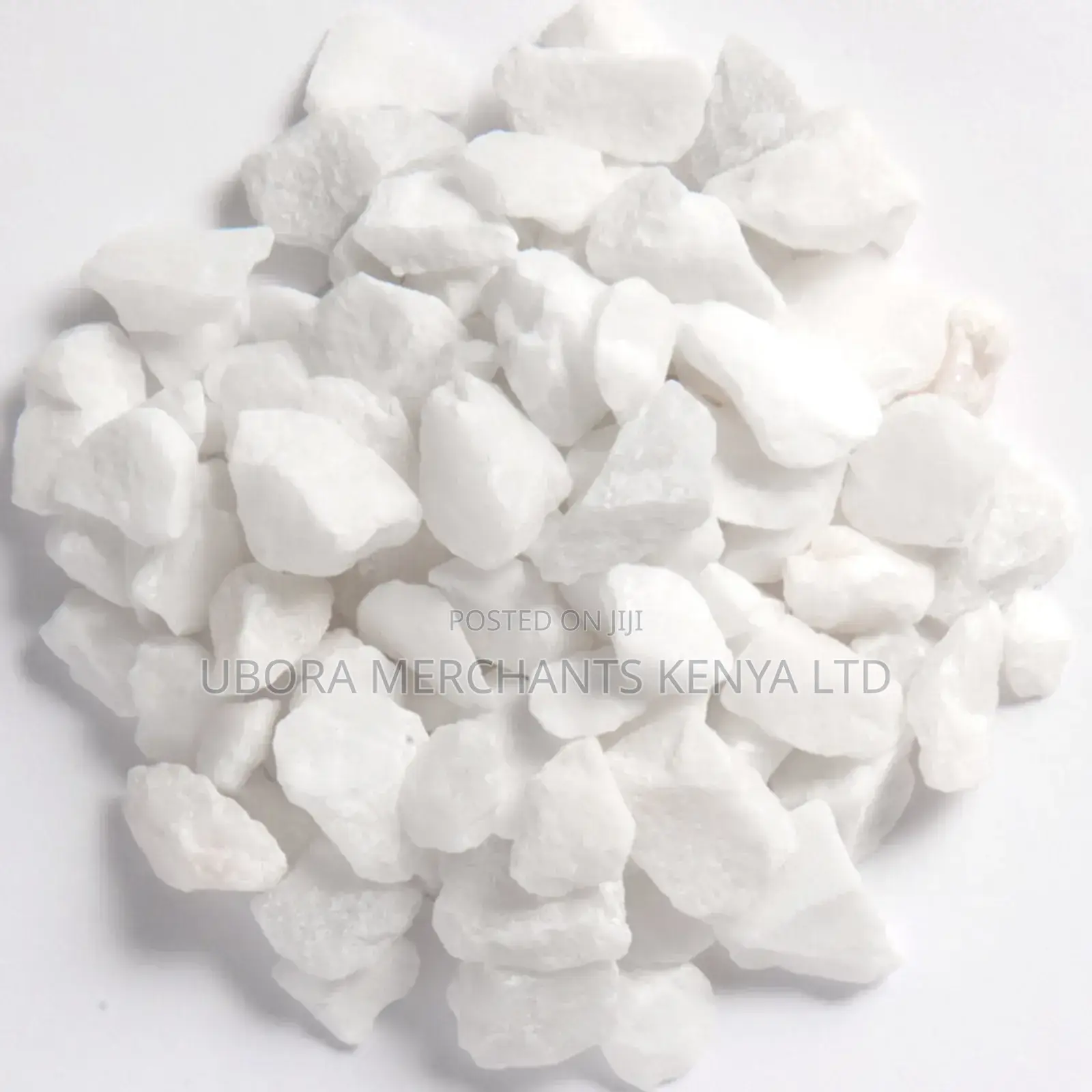 Terazzo White Chips 1/4