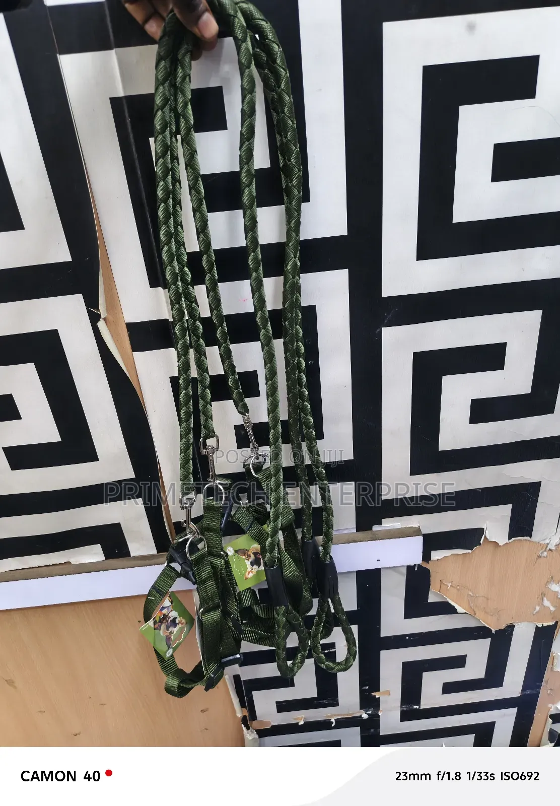 Puppy Leash and Harness