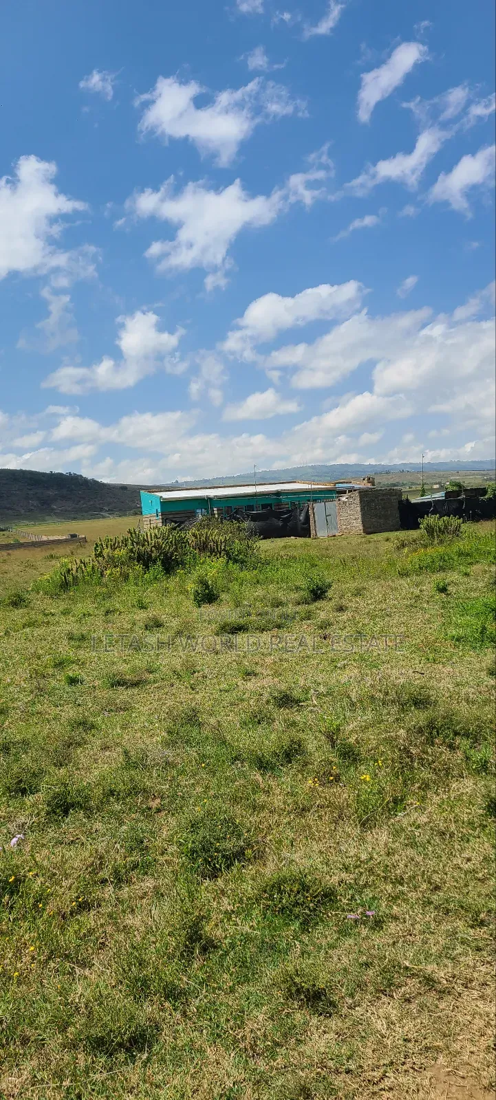 Prime 50 by 100ft Plots in Naivasha, Cash Price
