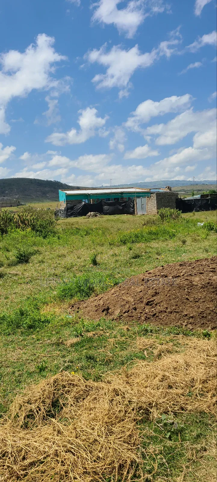 Prime 50 by 100ft Plots in Naivasha, Cash Price