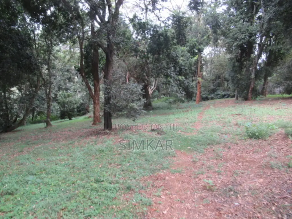4 Acres of Land for Sale in Mushroom Gardens Estate