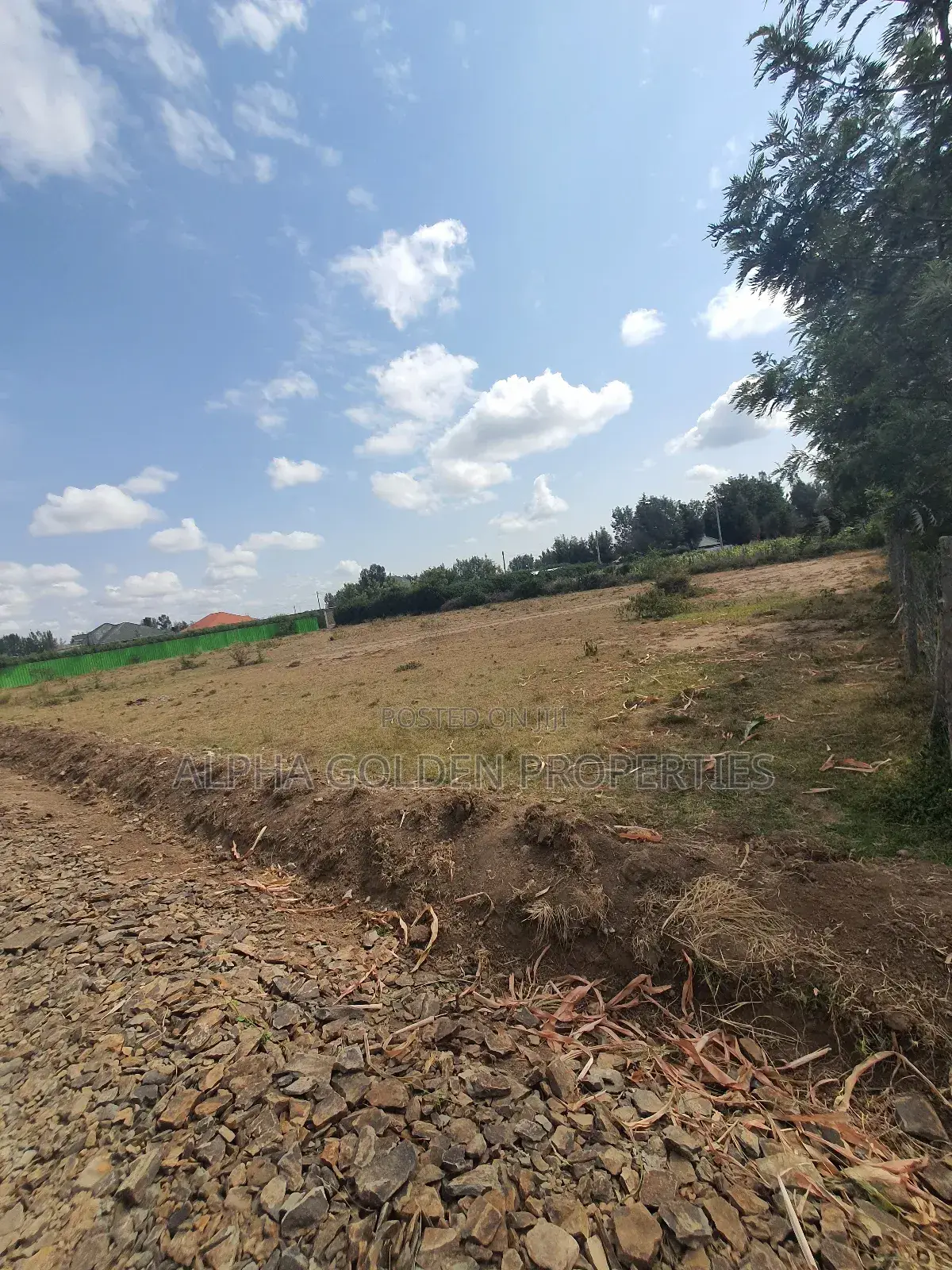 Nanyuki Town 1/4 Plots