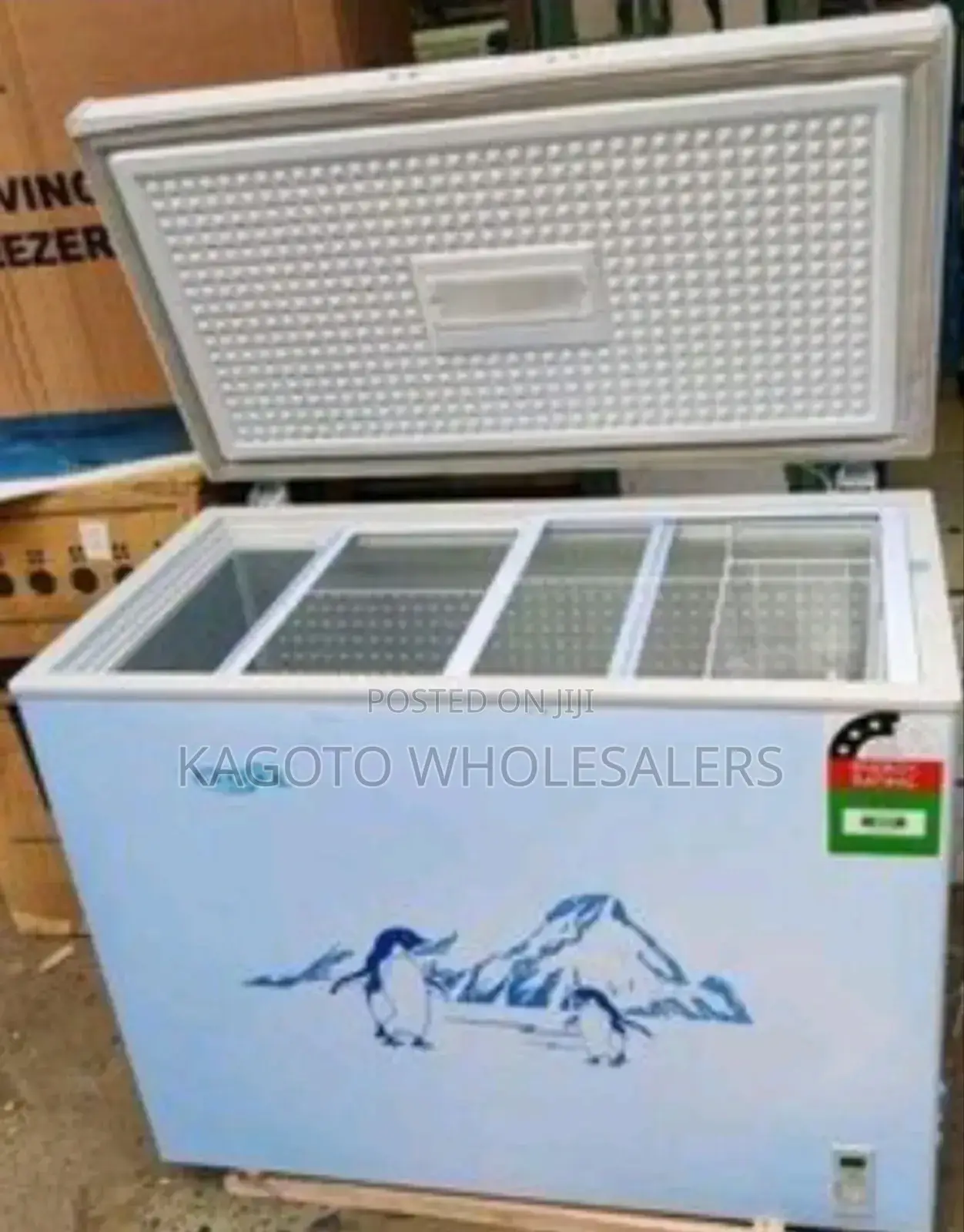 Ecomax 219liters Freezer