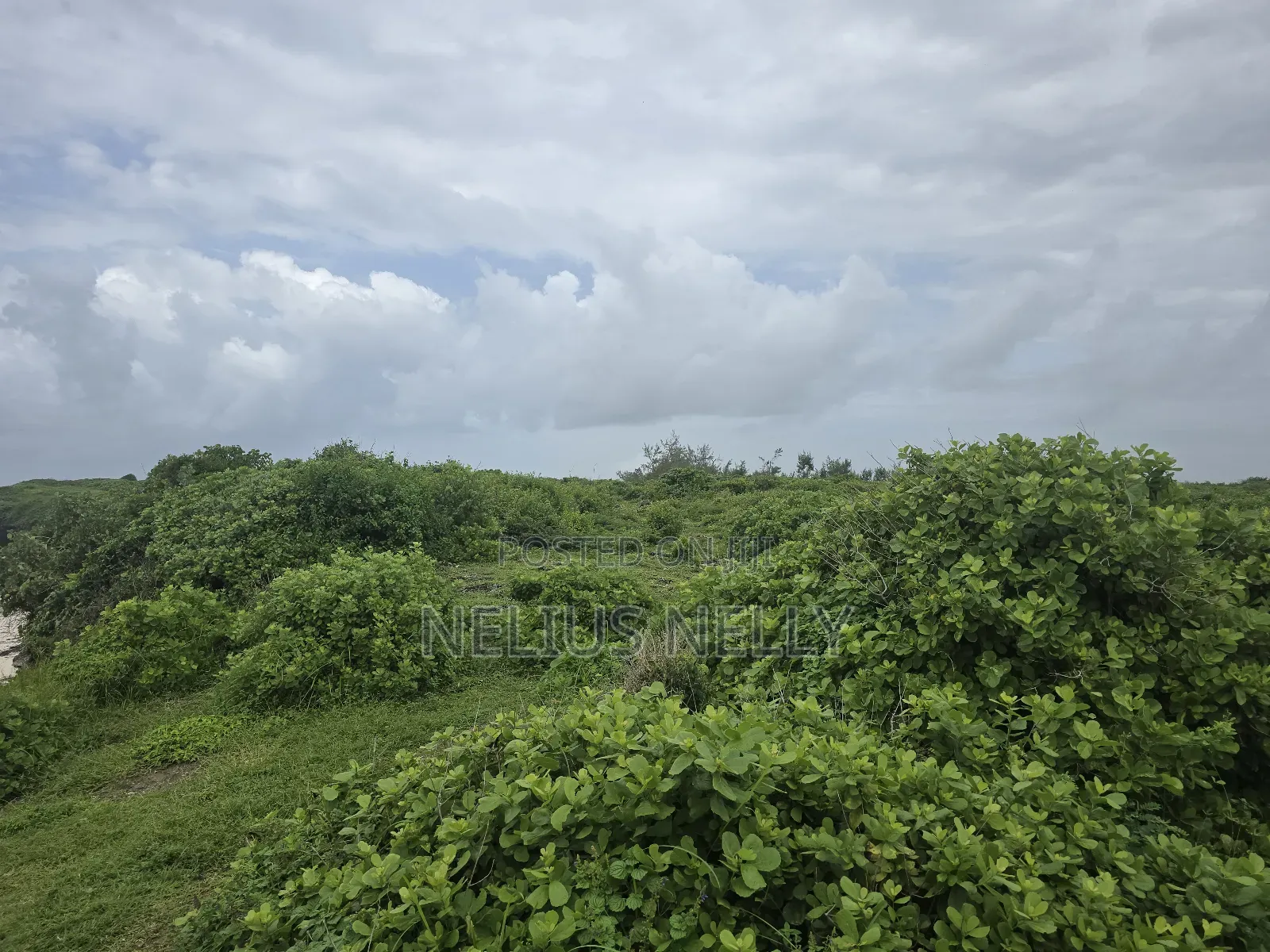 2nd Row Beach 1acres Land Kilifi Chumani