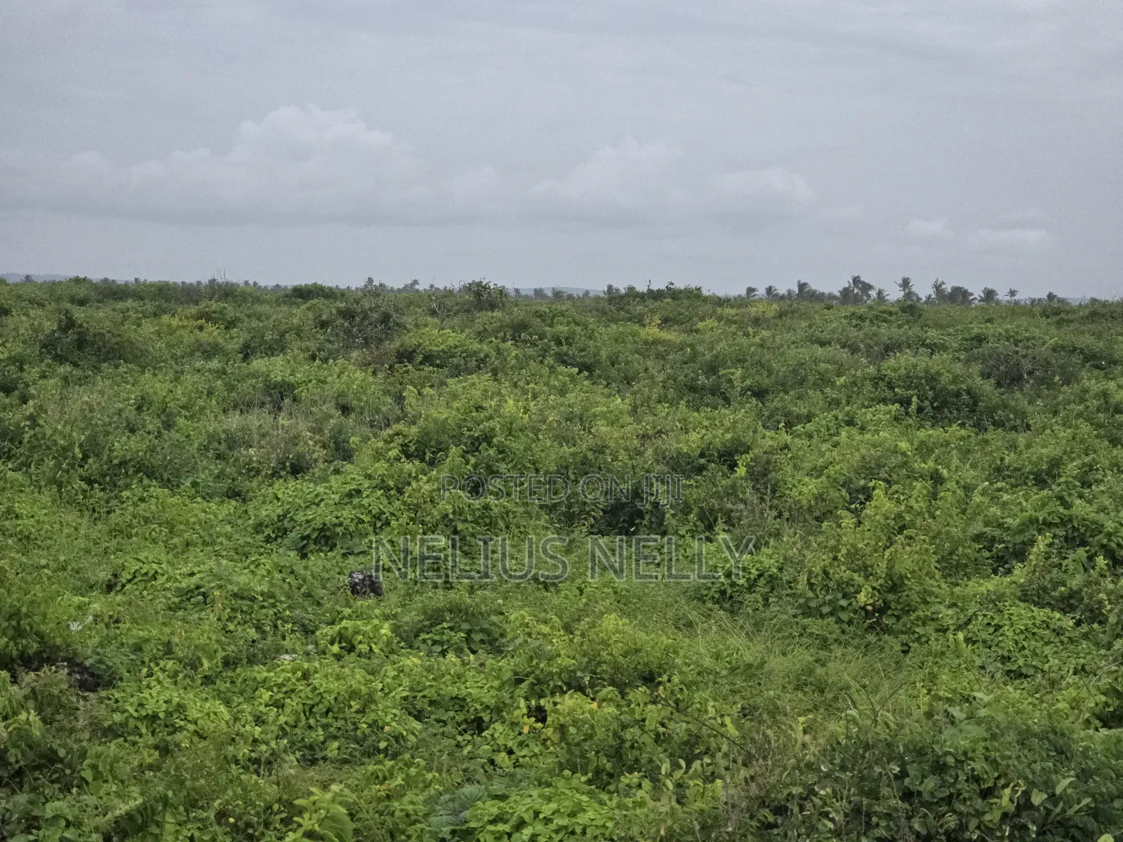 2nd Row Beach 1acres Land Kilifi Chumani