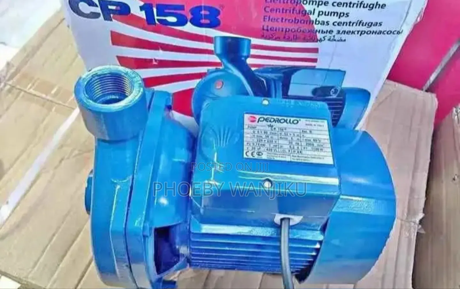 Pedrollo Water Pump